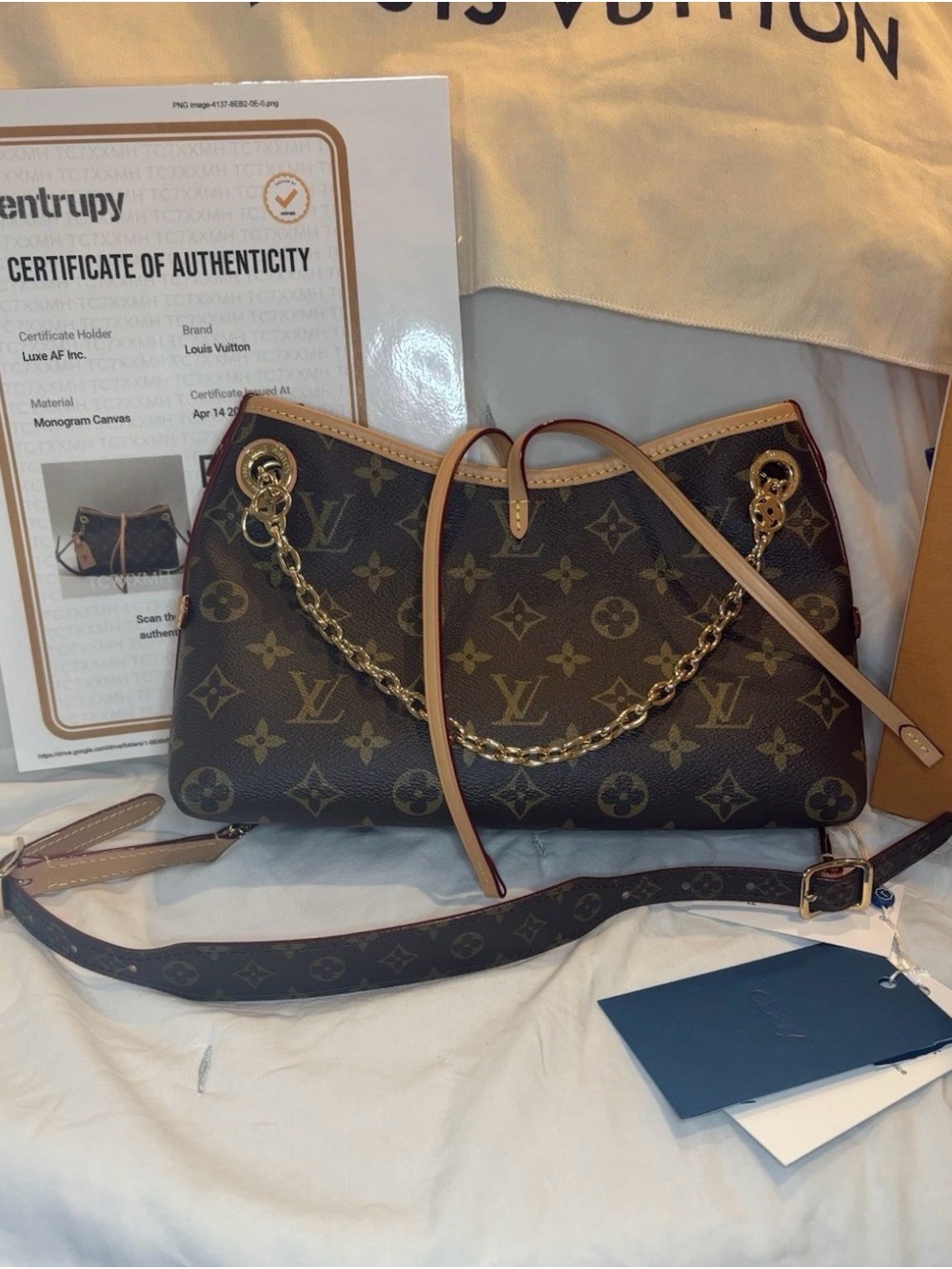 Louis Vuitton Carryall BB Monogram Canvas Shoulder Hobo Microchipped Bag